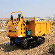 China Hydraulic Truck Dumper Crawler Carrier Mini Dumper with Loading Capacity 750kg manufacturer