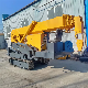 Shandong Haitai Glass Elevator Supplier 5ton Small Crawler Spider Crane