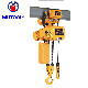  3ton Wireless Remote Electric Chain Hoist with Overload Cluch for Crane by Ce Certificate