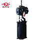 0.5ton Ce Electric Chain Block Stage Hoist with Hook