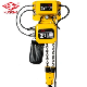  Heavy Duty Electric Chain Hoist with Trolley