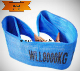  8t Polyester Webbing Sling 8t X1m (customized)