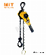 Lever Block Manufacturer Manual Hoist manufacturer