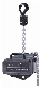  Wholesales Overload Protection Stage Hoist Electric Chain Hoist and Lifting Hoist