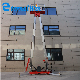 Eternalwin Portable Move Vertical Single or Double Mast Lift Vertical Lift for Aerial Working manufacturer