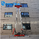 Eternalwin Portable Move Vertical Single or Double Mast Lift Vertical Lift for Aerial Working