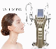 Multifunction Beauty Equipment RF Skin Tightening Face Lifting Machine Slimming and Skin Care Machine Smas 7D Machine