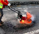 Hot Selling Vibratory Honda Compactor with Low Price Compact Vibrator Plate