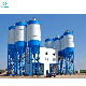 Hzs120 120m3/H Stationary Concrete Batching Plant Fixed Batching Plant with Auger