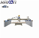 Infrared Automatic Granite Marble Bridge Cutting Machine (ZDH600) with Rotate Worktable