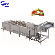 Bubble Washing Machine Fruit Washing Machine Vegetable Washer Machine with High Quality manufacturer