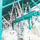 Popular Hongdefa 240t/24h Corn Flour Mill Milling Grinding Machine manufacturer