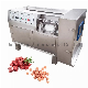 Automatic Meat Stainless Steel Slicer Dicer Strip Machine manufacturer