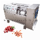 Automatic Meat Stainless Steel Slicer Dicer Strip Machine