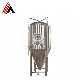 5bbl Fermentation Tank Stainless Steel Tank with Conical Bottom