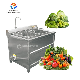  Restaurant Hotel Small Type Vegetables and Fruits Washer
