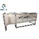 Brightsail Carrot Turmeric Carrot Cassava Ginger Washing Peeling Machine Roller Washing Cleaning Potato Machine manufacturer