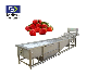  Air-Blowing Type/Bubble Surfing Washing Machine for Fruit and Vegetable Processing Line