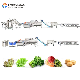  Vegetable Salad Cutting Washing Drying Machines Processing Line Wholesale