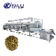 Black Soldier Fly Larva Insects Mealworm Conveyor Belt Microwave Dryer manufacturer