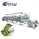 Tunnel Type Industrial Microwave Oven Dryer Green Tea Black Tea Powder Sterilization Sterilizing Machine manufacturer