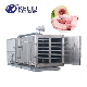 Industry Freeze Dryer Machine/Freeze Dryer China/Vacuum Freeze Drying Equipment Supplier