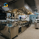 Professional Stainless Steel Industrial Catering Commercial Hotel Kitchen Equipment