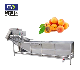 High Efficiency Air Bubble Potato Dragon Fruit and Vegetable Washing Machine