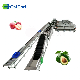  Industrial Production Line for Citrus/Orange/Apple/Avocado/Peach/Pear Fruits Washing Drying Sorting Processing Machine