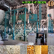 Precooked Corn Flake Mill for South America manufacturer