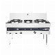  Cooking God Series D Type Commercial Stainless Steel Cooker Double Burner Gas Stove/Kitchen Equipment