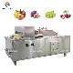 Commercial Olive Plum Pit Extracting Hawthorn Core Removing Machine