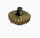 Auto Transmission Gear Steel Spur Bevel Gear Worm Gear