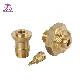 OEM Car Engine Parts Brass Parts Precision