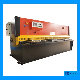 HS8k Series Hydraulic Cutting Machine, Metal Cutting Machine, Hydraulic Shearing Machine, CNC Hydraulic Guillotine manufacturer