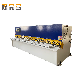  6 X 3200mm E21s Controller Hydraulic Guillotine for Carbon Steel Plate Shearing Cutting Machine