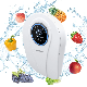 Wall Mounted Fruit and Vegetable Cleaning Machine Low Noise Multi Functional with Negative Ion Fresh Air and Fruit and Vegetable Purifier for Kitchen