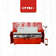 Dxtech 80t/2000mm CNC Press Brake Hydraulic Metal Sheet Plate Iron Bending Machine