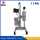 20W/30W/60W/100W Laser Marking Machine with Ce Certification Online CO2 Laser Marking Machine for Mass Production