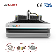 Cci Laser-Good Quality Metal Fiber Laser Cutting Machine Price for Steel Sheet Aluminium Plate CNC Laser Cutter manufacturer