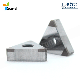 Custom-Made Internal Turning Ccgw 120402 CNC Machine Tool Lathe CBN and Cutting Inserts for Gear