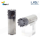 Multi-Flute Custom-Made Carbide 3mm 6mm 8mm Flat/Ball/Bull Nose/Corner Radius End Mill Milling Cutter Cutting Tool Endmill