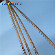  Metallic Card Clothing for Nonwove Machinery/Nonwoven Card Clothing