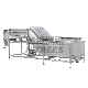  Covering Machine for Seafood Processing Line