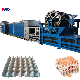 High Speed 5000PCS/H 5*8 Egg Tray Forming Machinery Egg Carton Box Making Machine Using Waste Paper Agricultural Waste Rice Straw Material