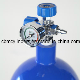  Hot Sale 40L Steel Oxygen Gas Cylinders (W. P. =15Mpa, 6m3) From China Factory