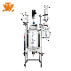  Wt-R 100L Glass Lined Decarboxylation Stirrer Tank Reactor with Agitator