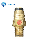 Hot Selling Gas Media Safety Valve Brass Gas Valve, LPG Gas Cylinder Control Valve manufacturer