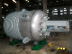 High Capacity Chemical Product Reactor manufacturer