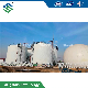 Membrane Gas Storage Tank Container for Biogas Plant